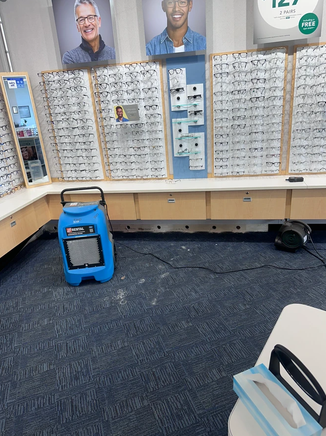 Eyeglass frames displayed on wall racks in an optical store, with a blue industrial floor dryer and carpet on the floor.