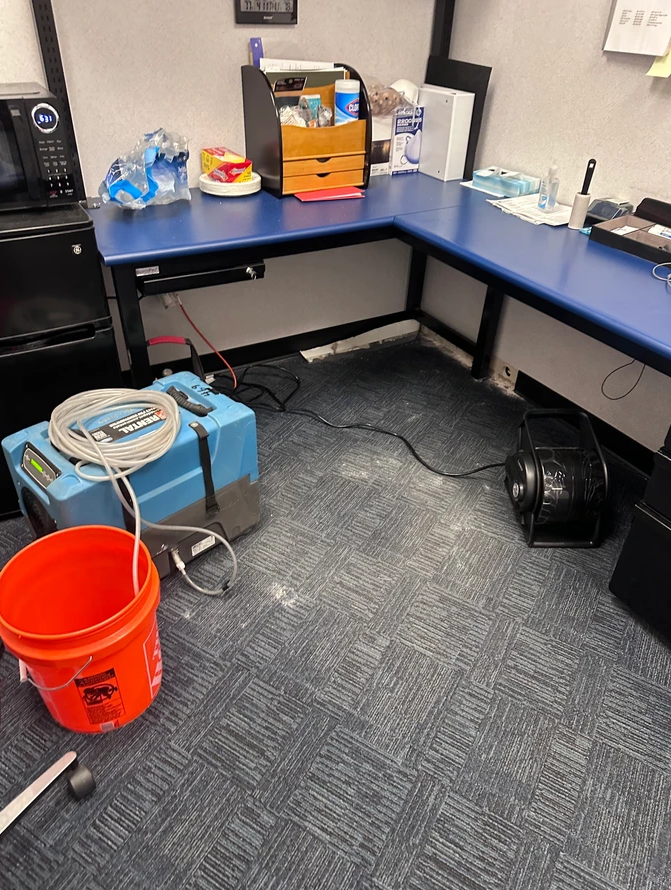 An office workspace with blue desks, a blue dehumidifier, an orange bucket, and a black fan on a grey carpeted floor.