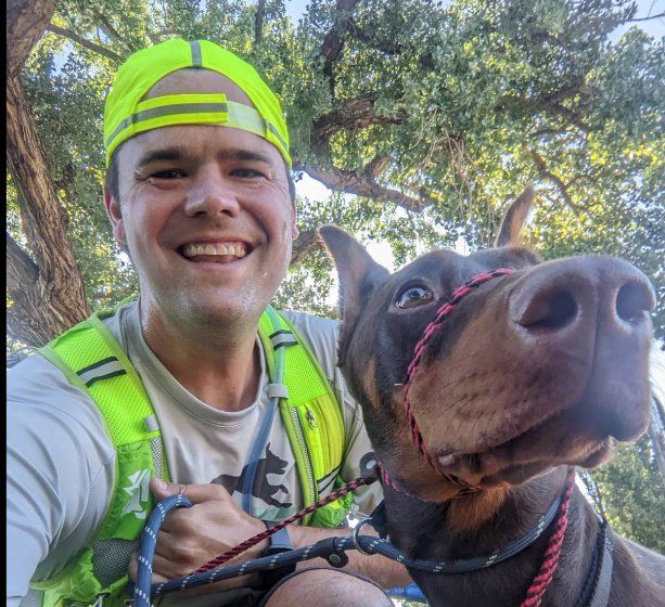 Dog Walkers Denver Denver Dog Joggers