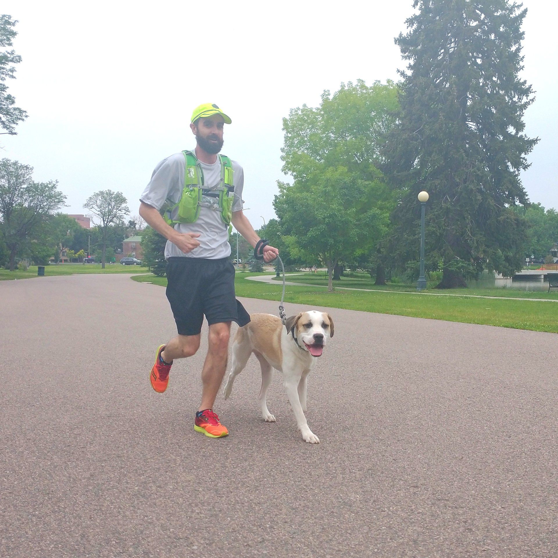 Dog Walkers Denver Denver Dog Joggers