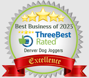 best business of 2023 three best rated denver dog joggers excellence