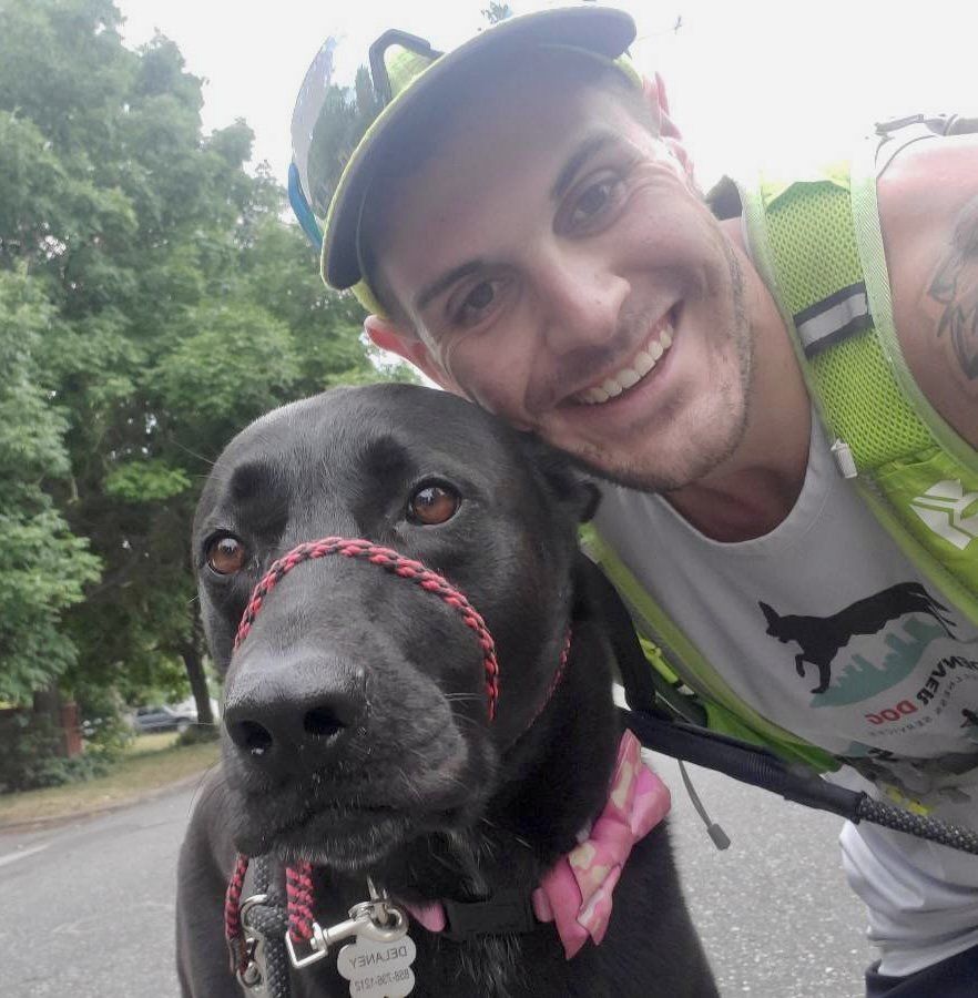 Dog Walkers Denver Denver Dog Joggers