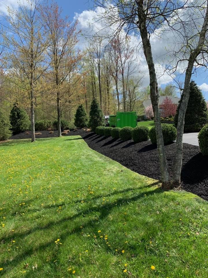 A lush green lawn surrounded by trees and bushes on a sunny day.