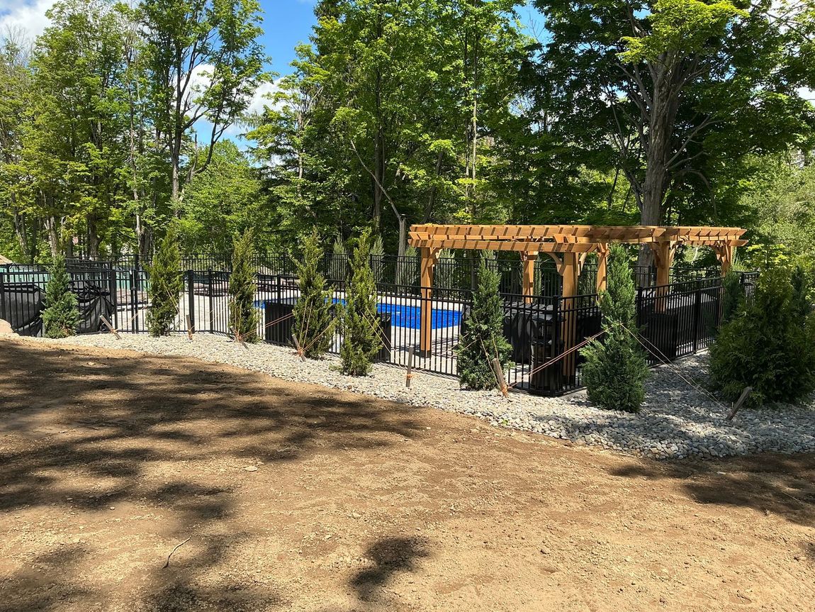 Trees properly staked and tied around pool.