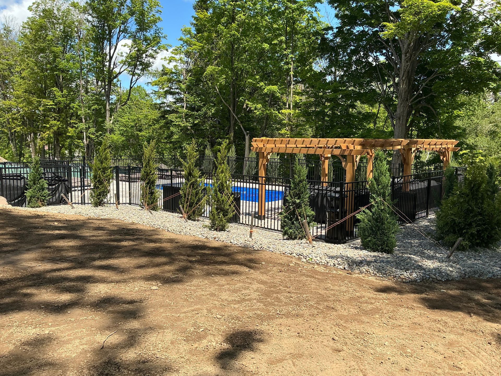 Trees properly staked and tied around pool.