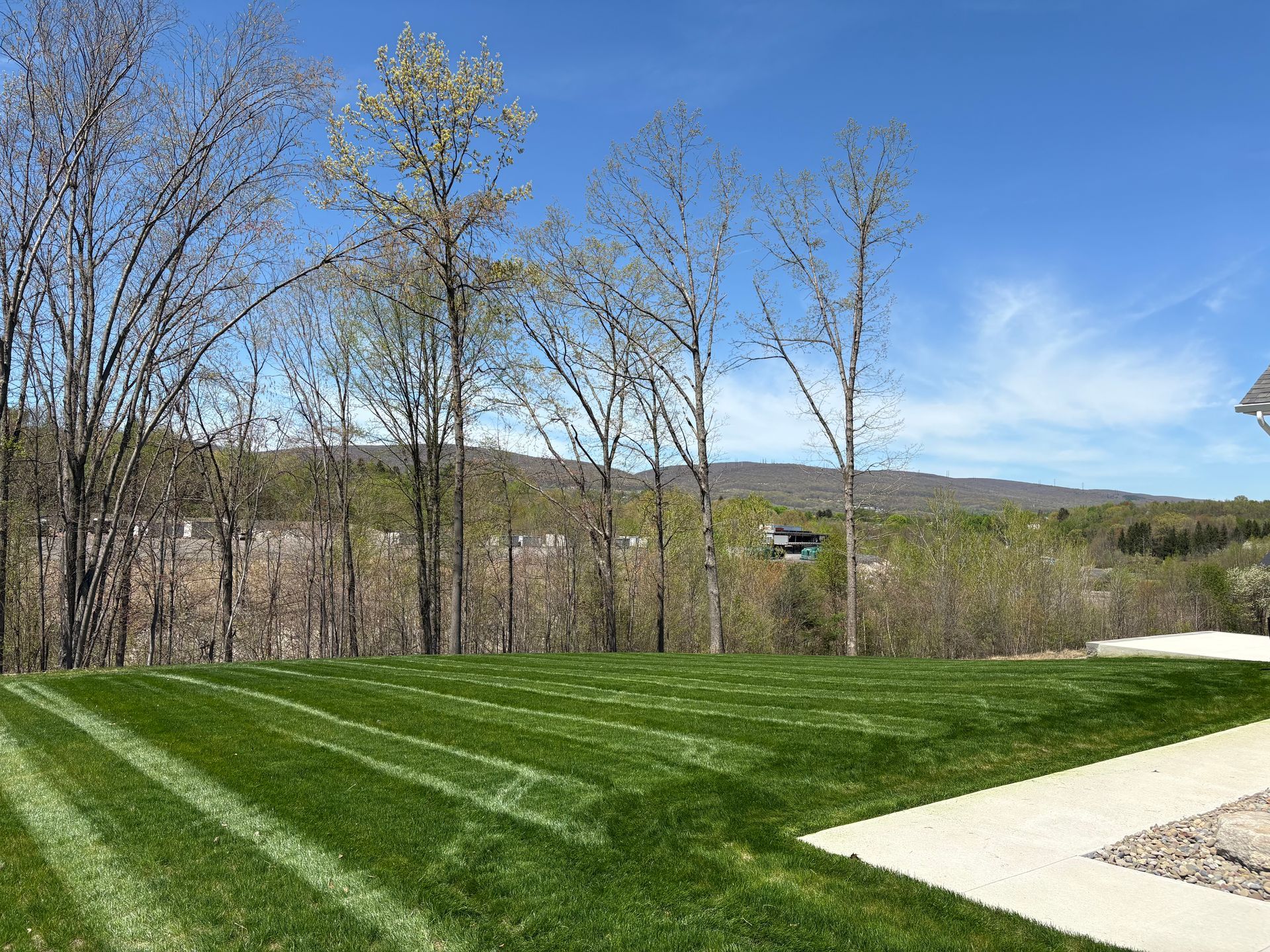 A well maintained lawn