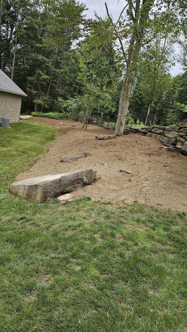 Sloped side yard overgrown and hard to manage.