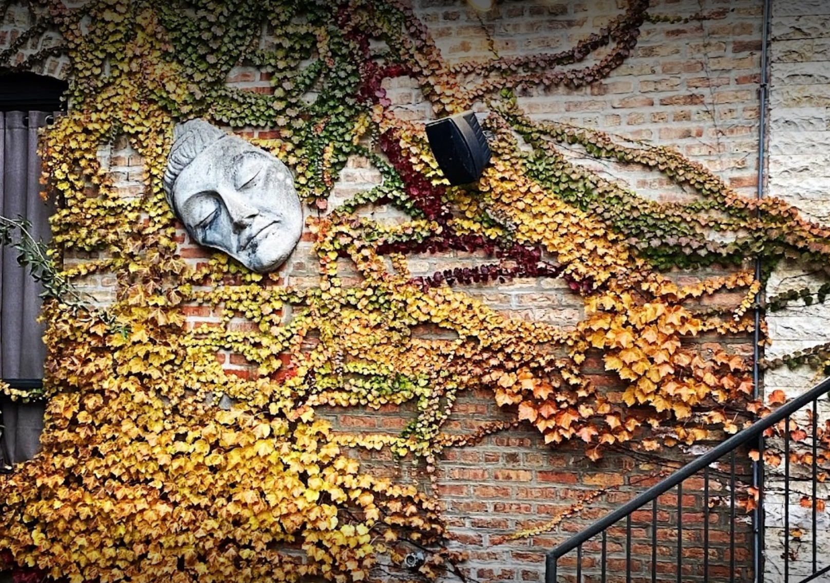 Stone Buddha face on brick wall covered in yellow and green vines. Black railing on the right.