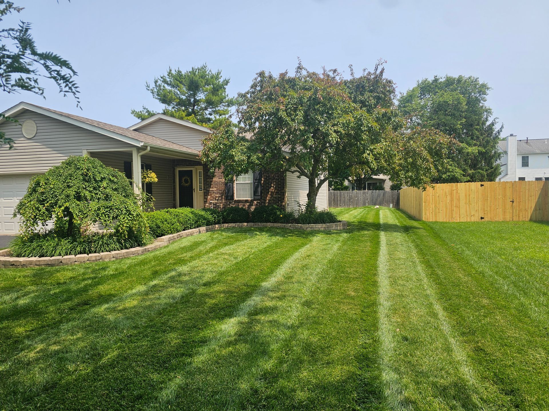 Lawn with fresh mowing stripes in front of a house, tree, and wooden fence on a sunny day.