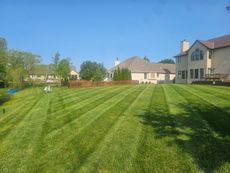 Lawn mowed in straight lines with large houses in the background under a clear blue sky.