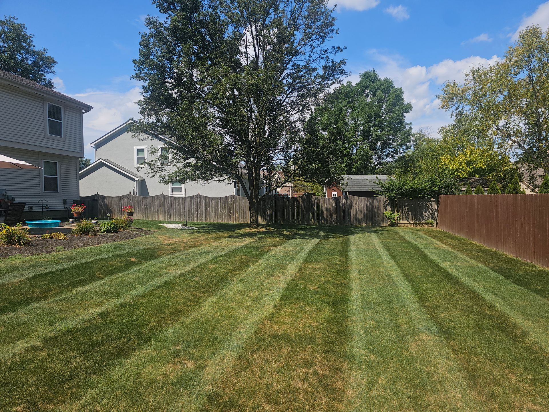 Lawn with striped mowing pattern in a backyard, trees, fences, and houses under a blue sky.