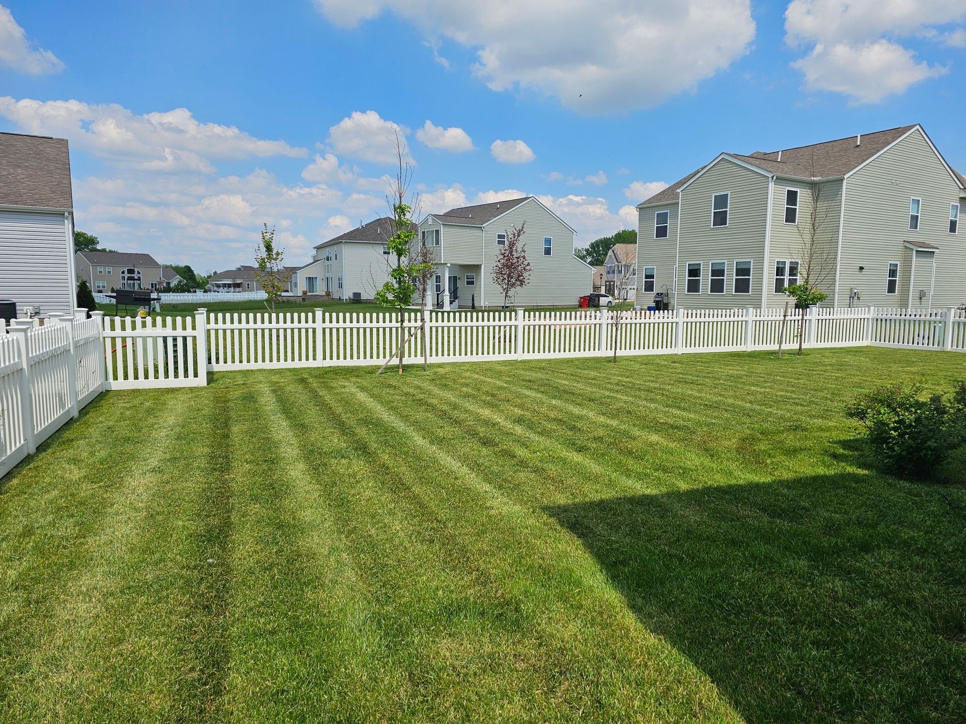 A backyard with a white picket fence, green grass, and houses under a blue sky.