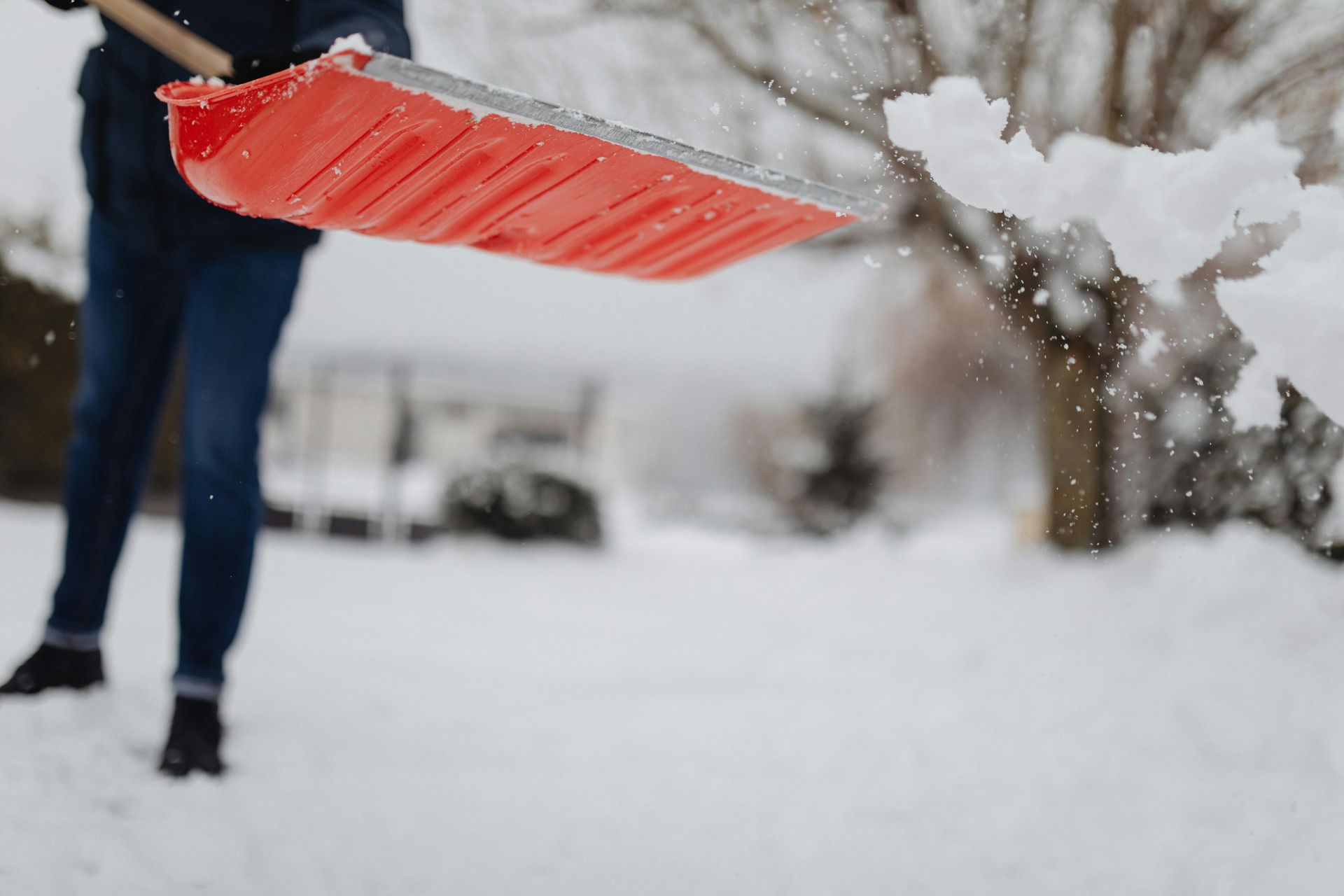 Person shoveling snow with a red shovel on a snowy day.