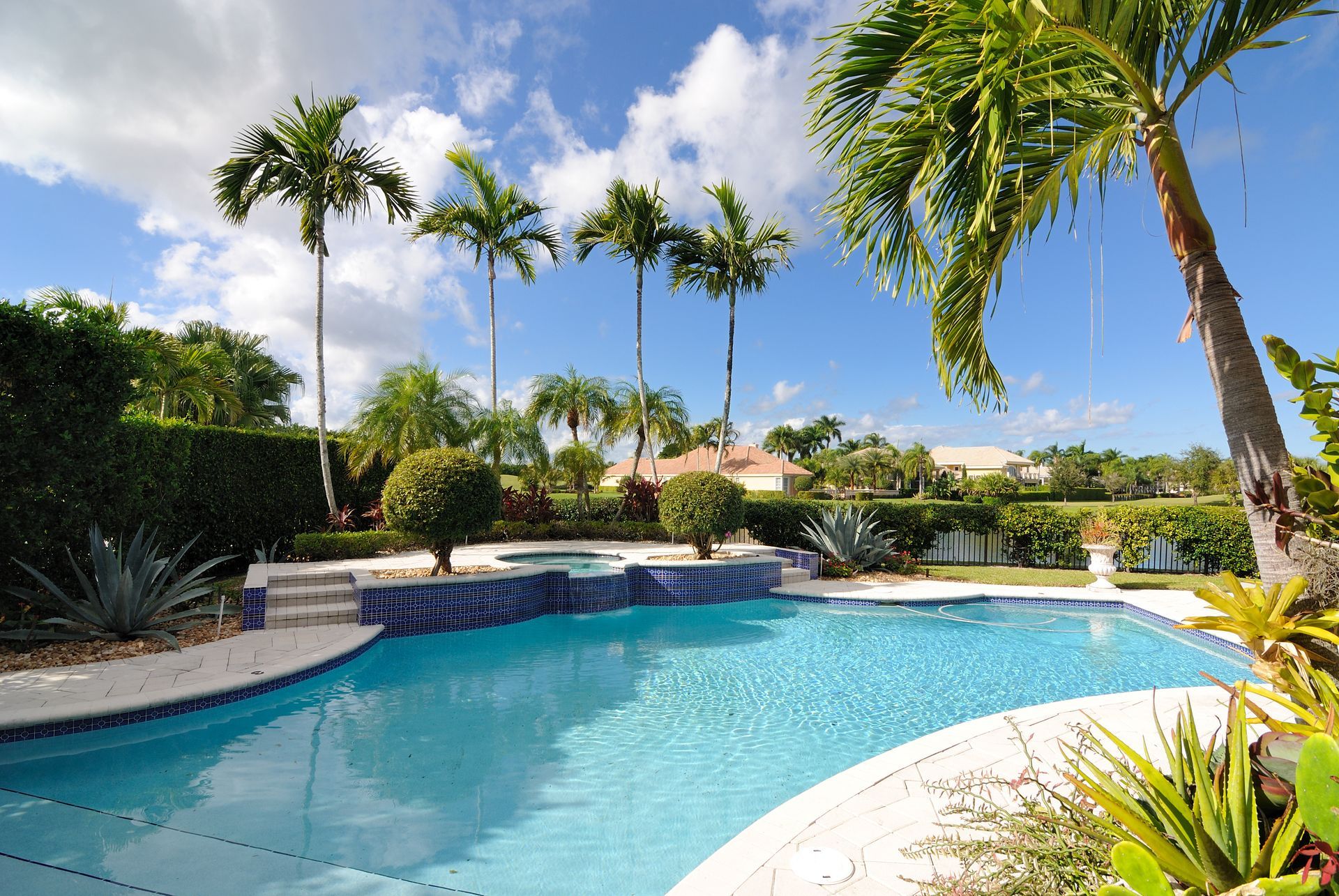Tropical resort pool with clear blue water, palm trees, and a sunny sky