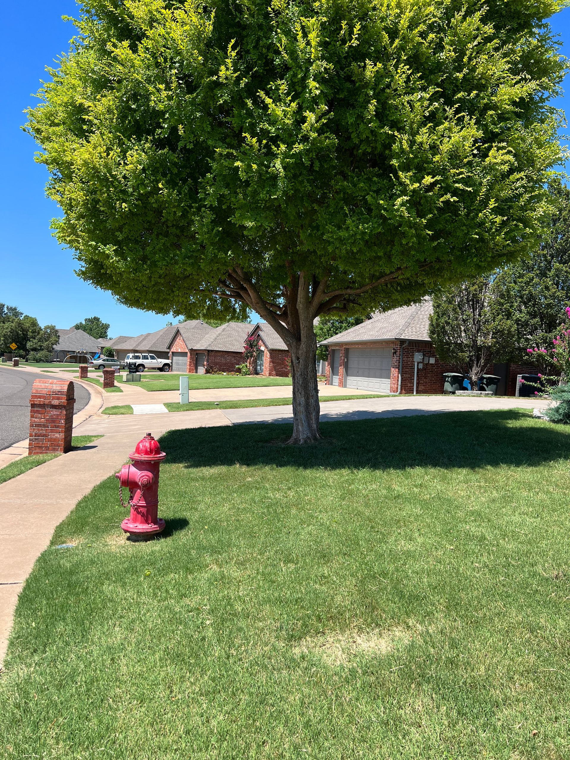 A bright red fire hydrant stands on a manicured green lawn in front of a large tree and suburban houses under a blue sky.