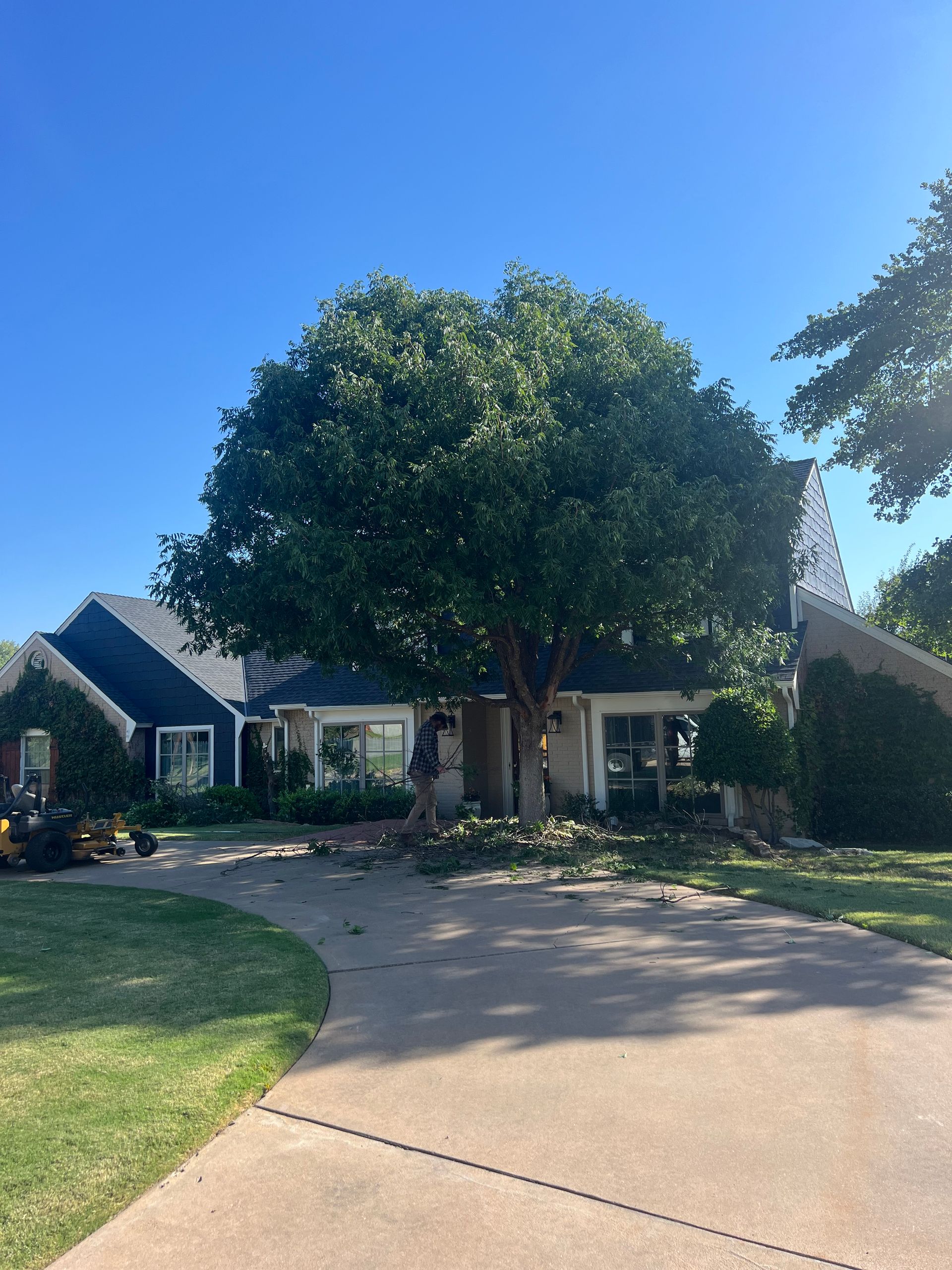 A person trims branches from a large tree in front of a residential house on a sunny day.