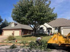 Workers trim a large tree in the front yard of a suburban house with a bright yellow piece of machinery nearby.