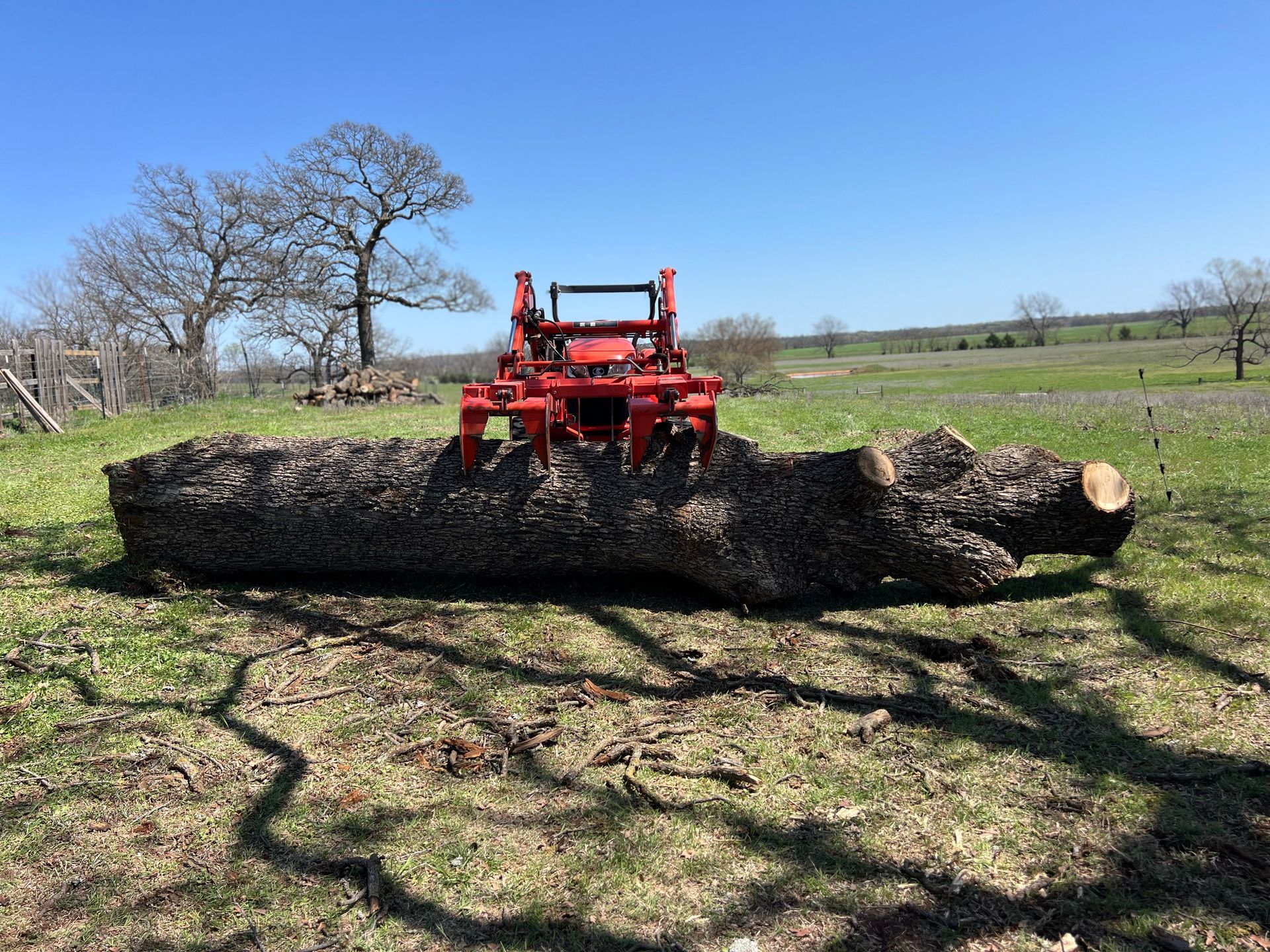 A red tractor with a log grapple attachment lifts a large, textured tree trunk in a grassy field under a clear blue sky.