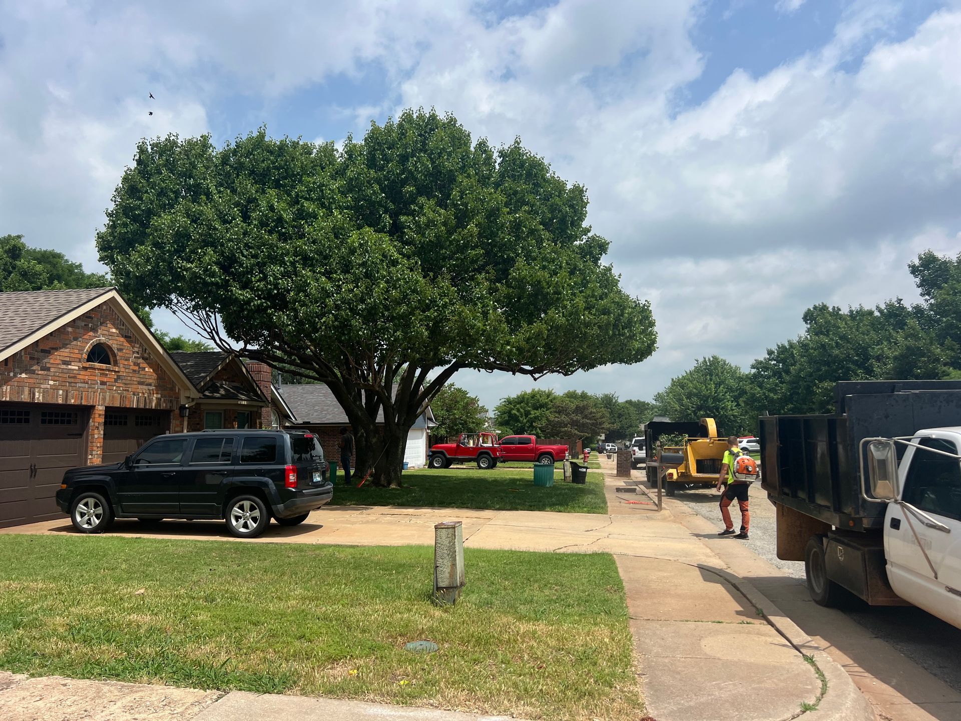 Workers use a woodchipper near a house with a large tree and parked vehicles in a suburban neighborhood.
