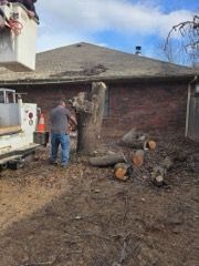 A worker uses a chainsaw to cut a large tree trunk near a brick house, with a utility bucket truck parked nearby.
