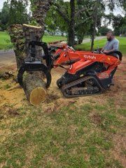 A person operates an orange Kubota track loader with a grapple attachment to move a large, freshly cut tree trunk.