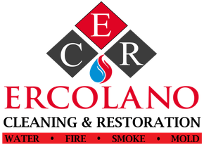 Ercolano Cleaning and Restoration