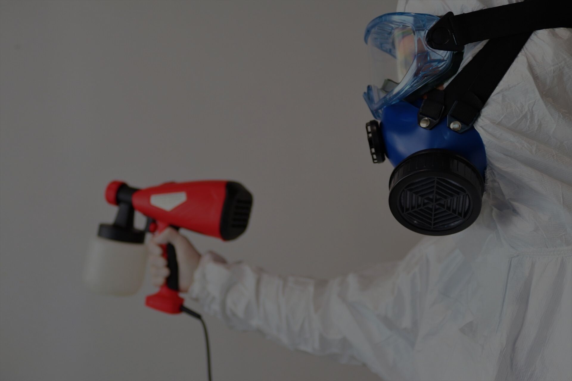 Professional Mold Removal Service