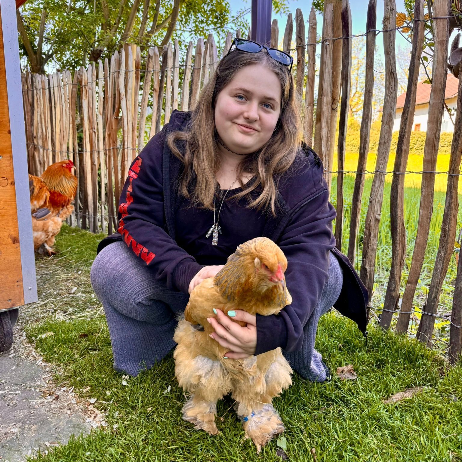 Eine Frau hockt und wiegt ein flauschiges, hellbraunes Huhn in einem grasbewachsenen Gehege. Ein Hahn steht in der Nähe, hinter ihnen ein Holzzaun.