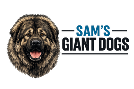 Logo for Sam&rsquo;s Giant Dogs featuring a portrait of a fluffy brown dog with its tongue out next to the company name.