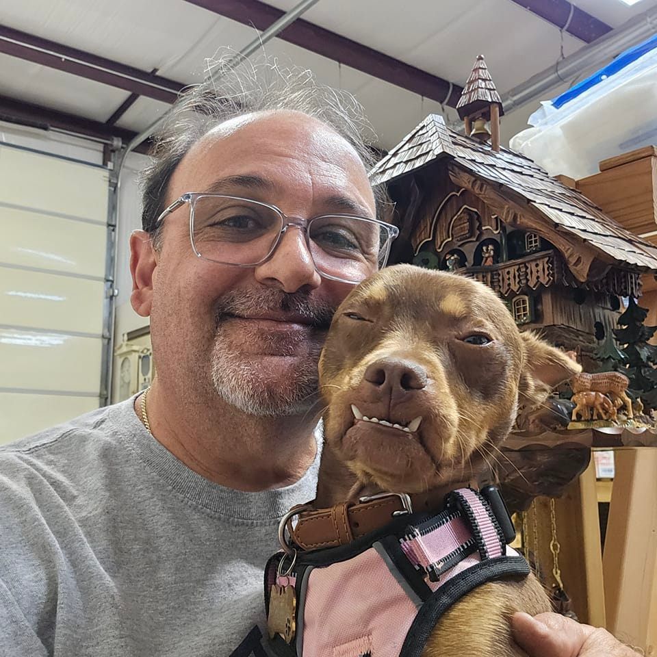 A man is holding a small brown dog in front of a cuckoo clock