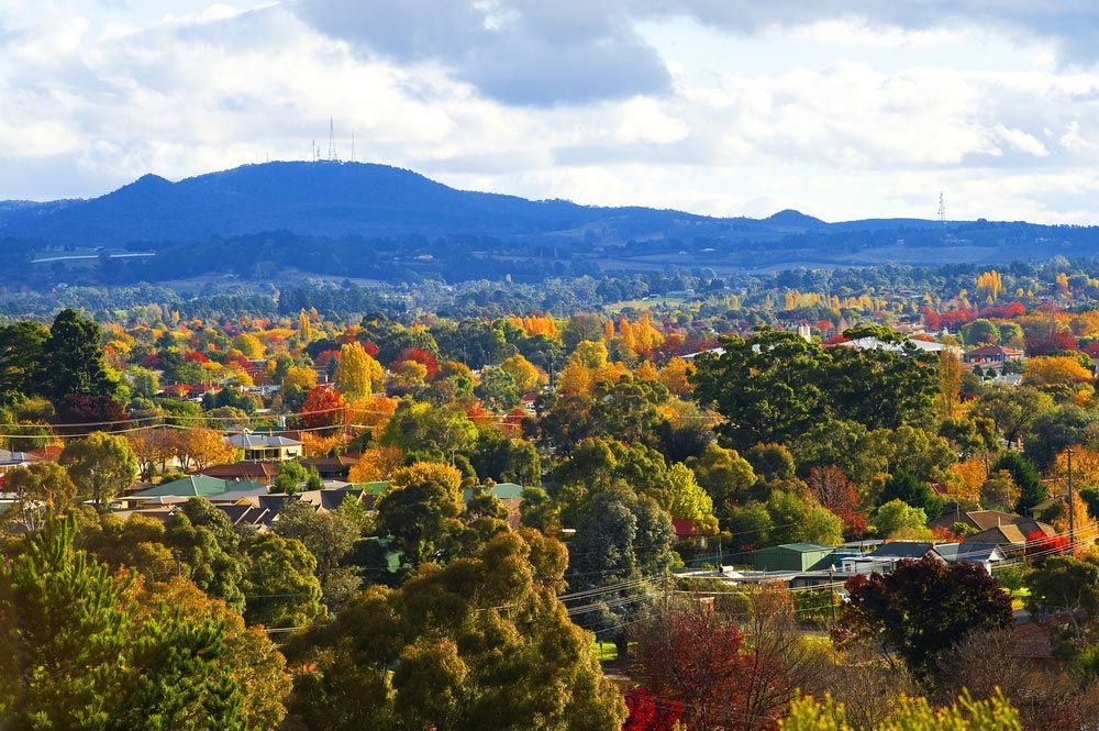 Residential Area in Orange, NSW — Roofer in Orange, NSW