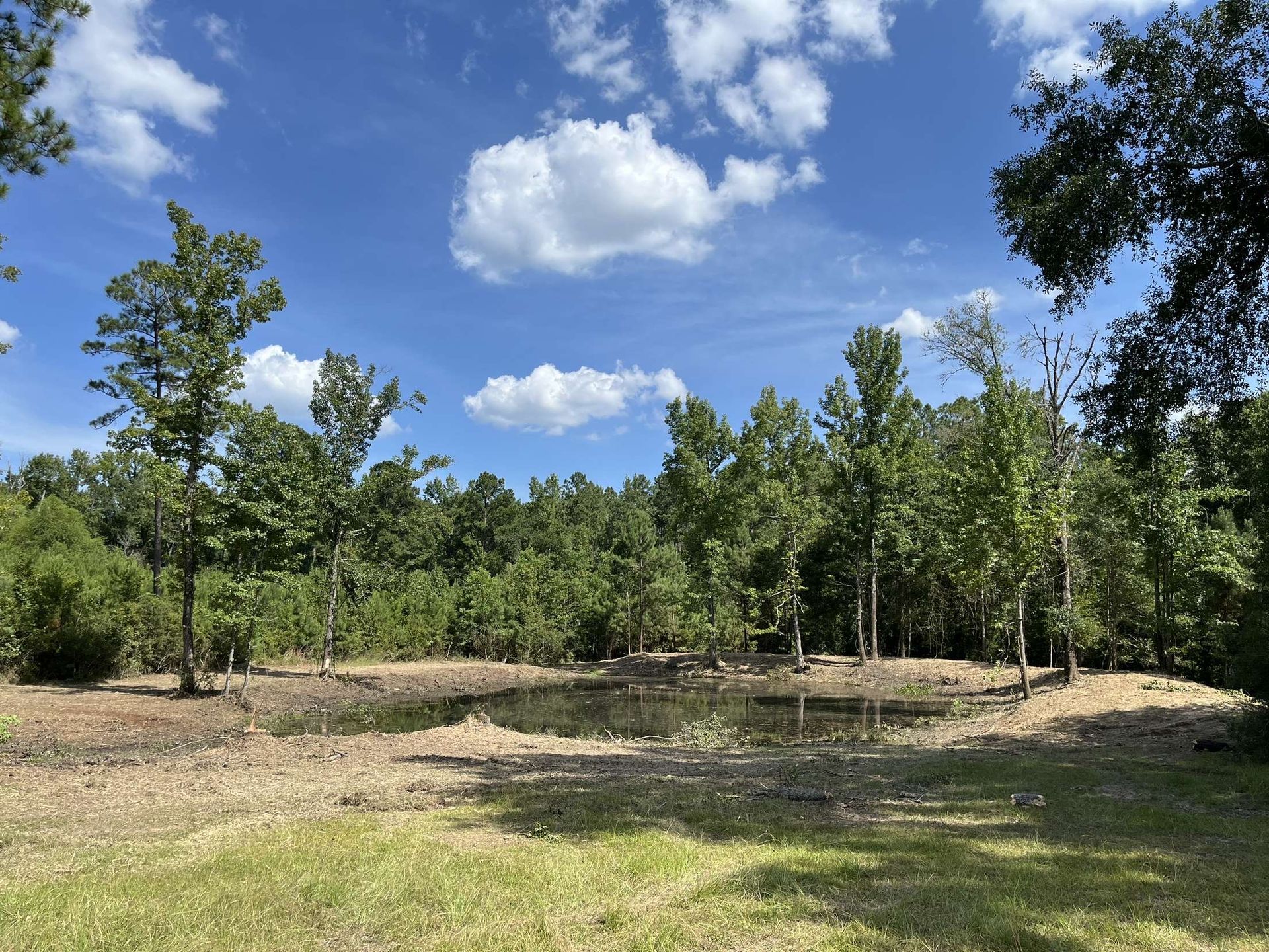 Pond surrounded by trees and green grass under a blue sky with white clouds.