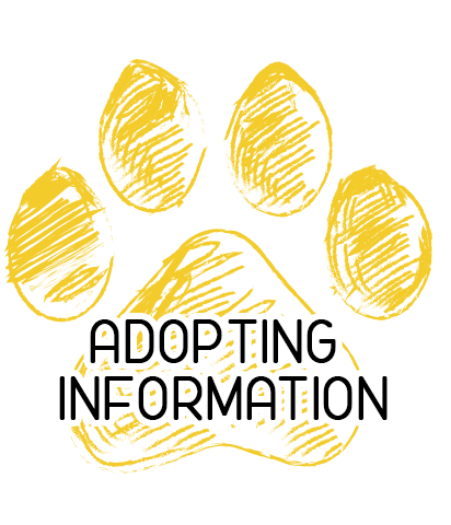 Adopting Information
