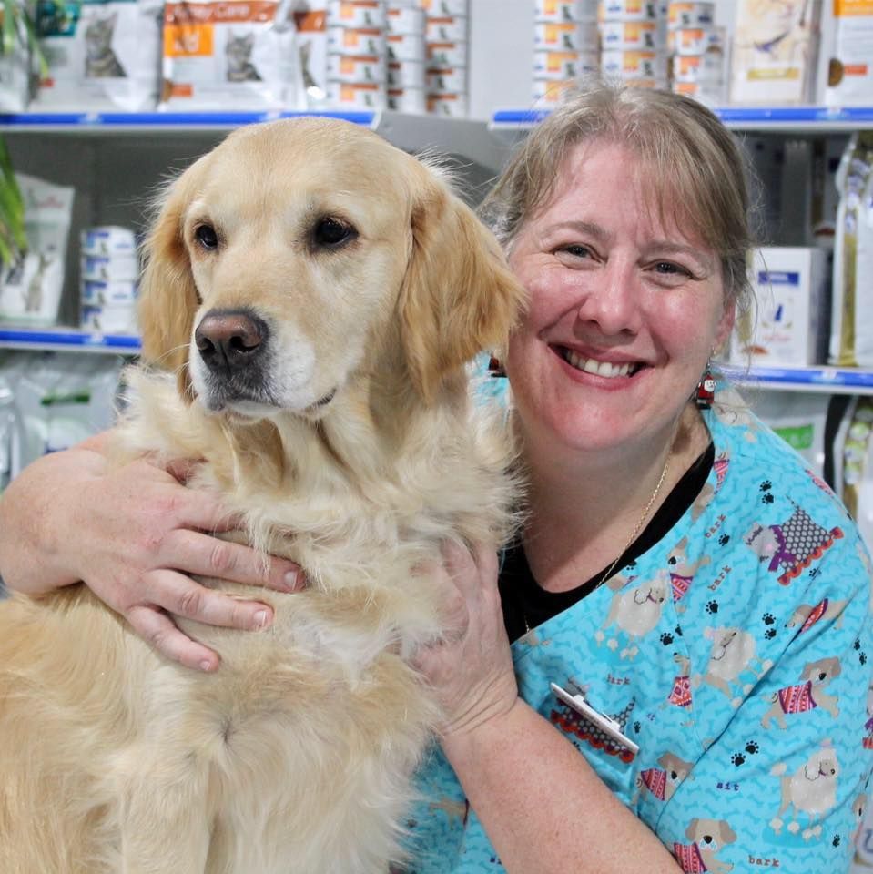 Gallery Para Hills, SA Para Hills Vet Clinic