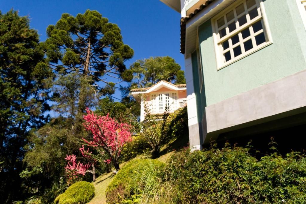 Uma casa verde-clara com janelas brancas fica em uma colina gramada ao lado de uma árvore florida e um grande pinheiro sob um céu azul.
