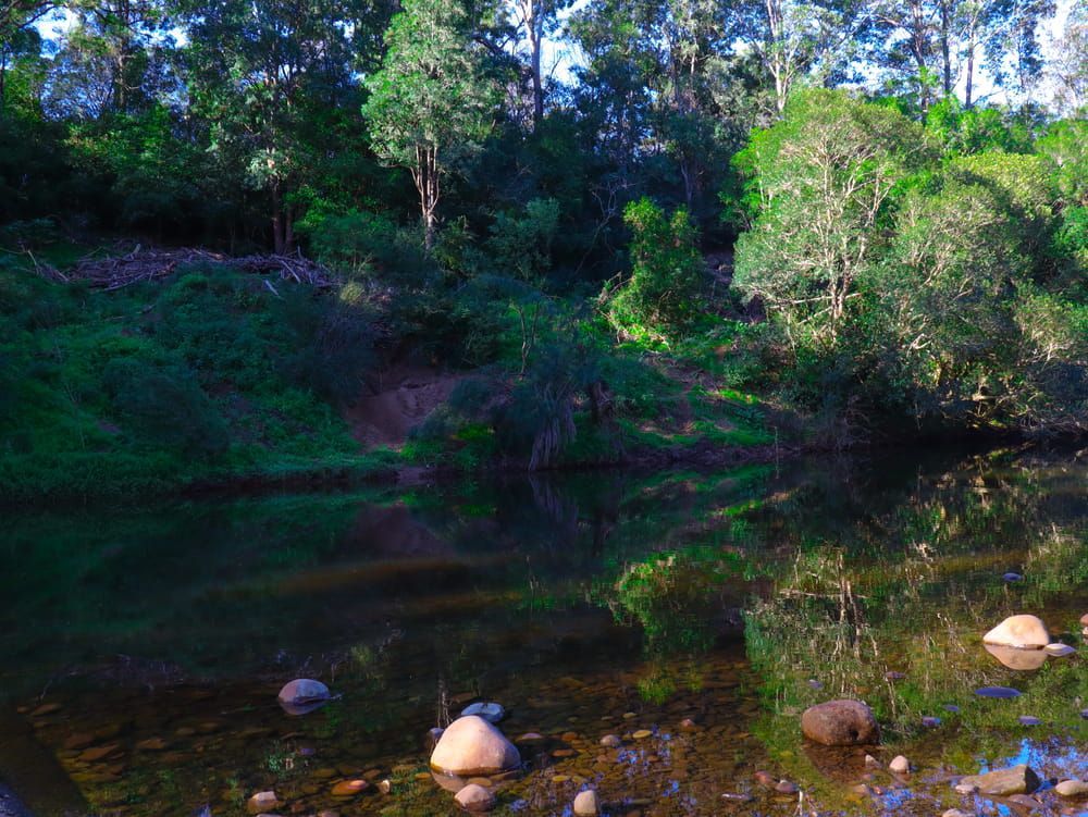 A River Surrounded by Trees and Rocks in The Middle of A Forest — BVN Landscape & Steel Supplies in Berry, NSW