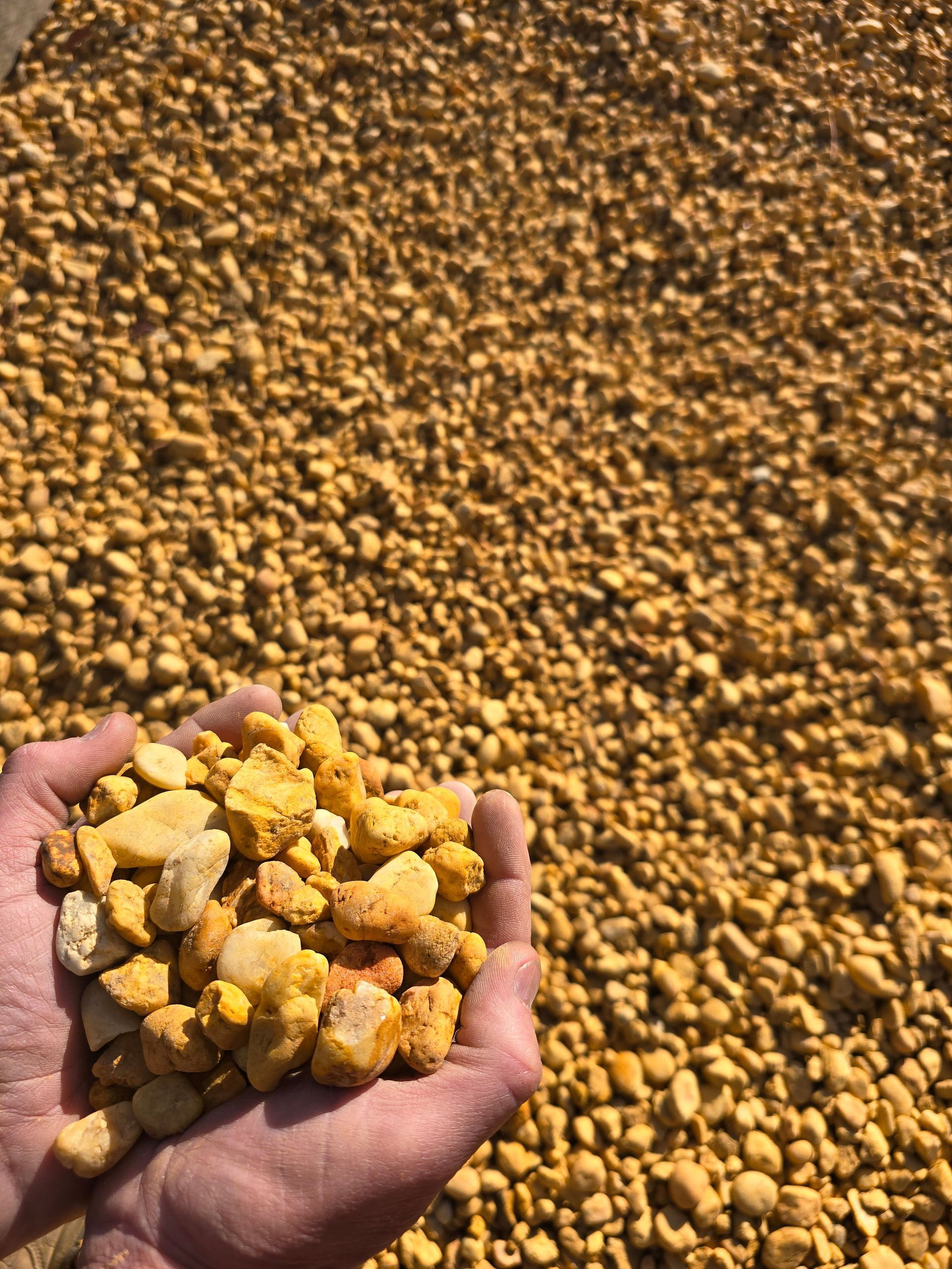 Person Holding a Handful of Yellow-orange Stone — BVN Landscape & Steel Supplies in Berry, NSW