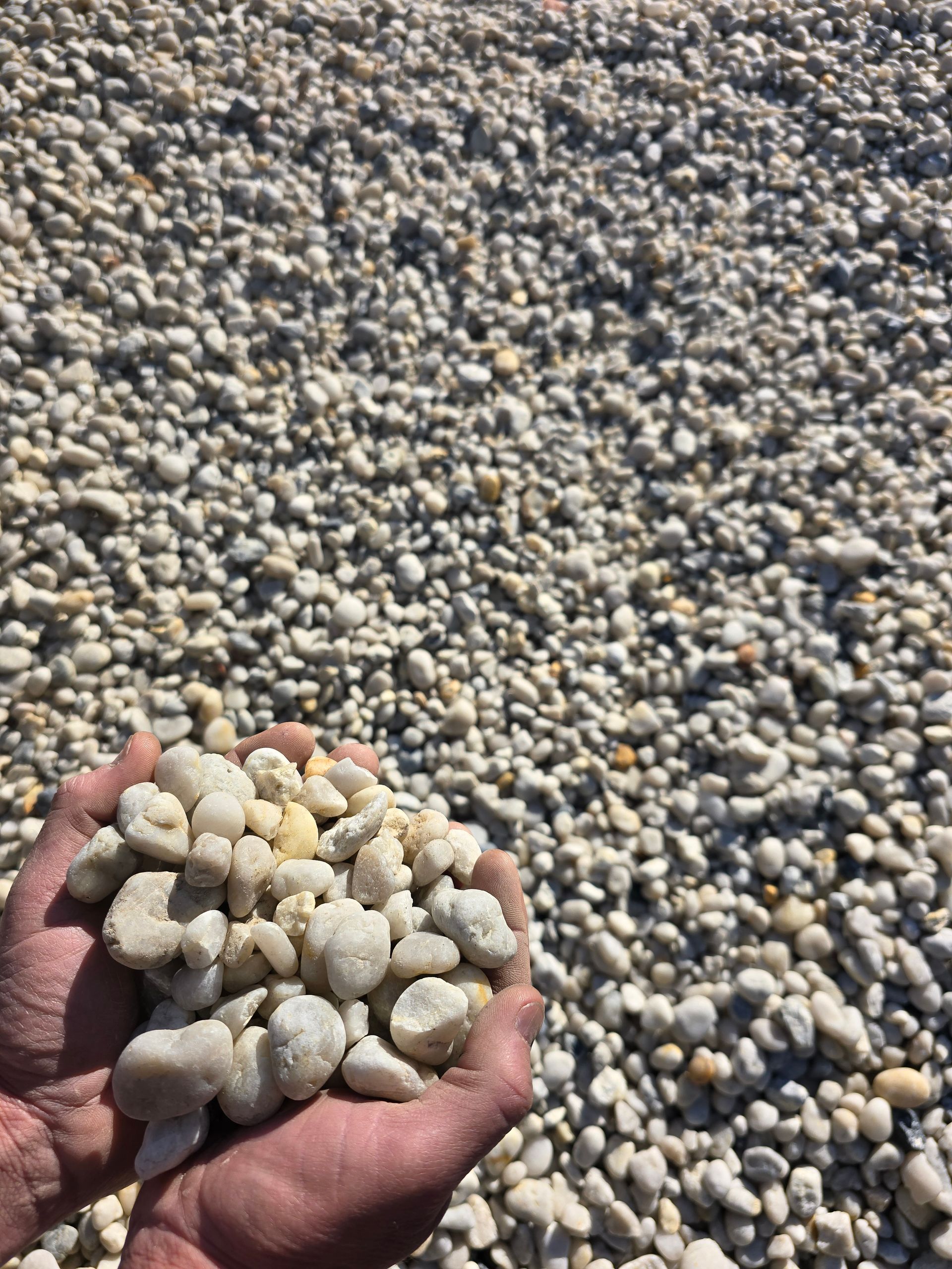 Hands Holding a Pile of Small, Light-colored Gravel — BVN Landscape & Steel Supplies in St Georges Basin, NSW