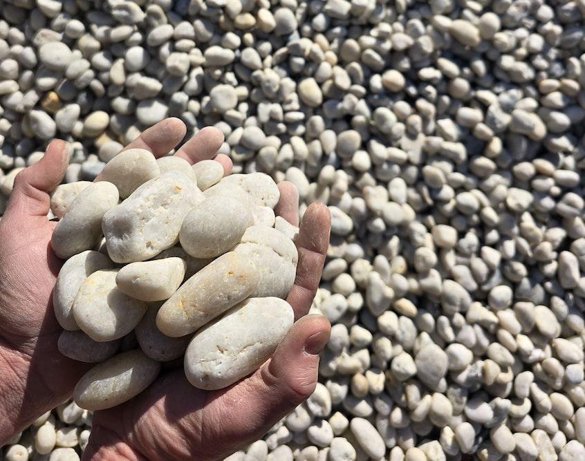 A Person Is Holding a Pile of White Rocks in Their Hands — BVN Landscape & Steel Supplies in Vincentia, NSW