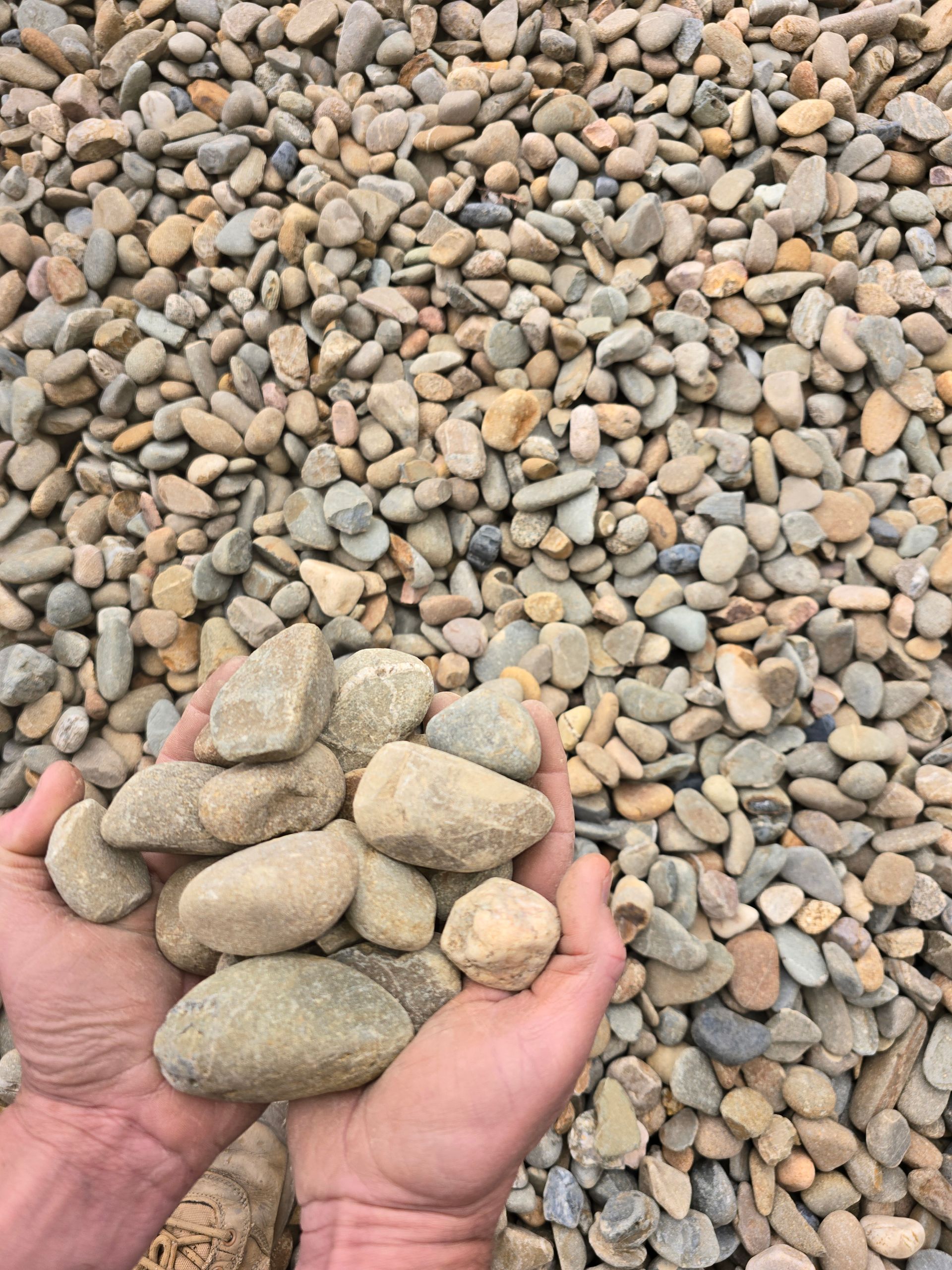 Hands Holding Beige River Rocks — BVN Landscape & Steel Supplies in Nowra, NSW
