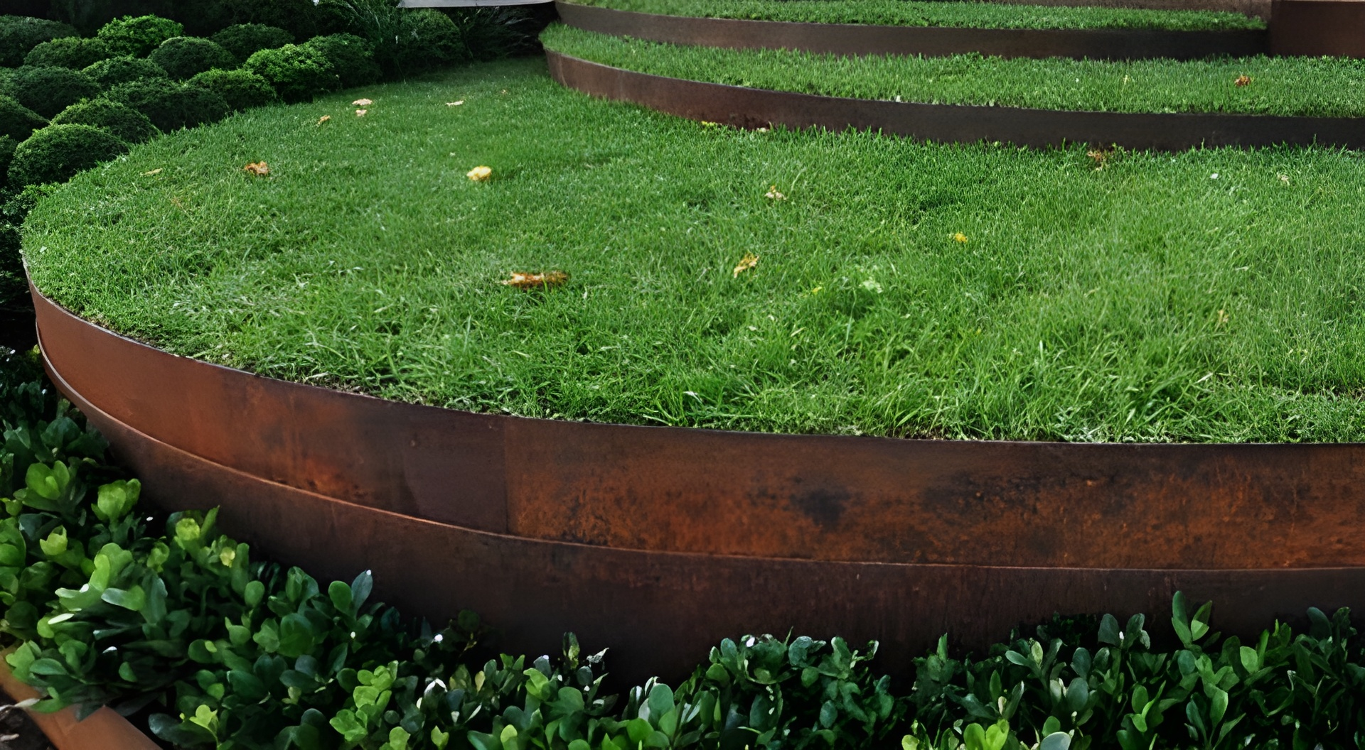 Tiered garden beds with lush green grass held by weathered brown steel edging, surrounded by low green hedges. — BVN Landscape & Steel Supplies in St Georges Basin, NSW