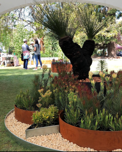 A sculptural garden bed with a central grass tree, native shrubs, and rusted metal borders in a park-like outdoor setting. — BVN Landscape & Steel Supplies in St Georges Basin, NSW
