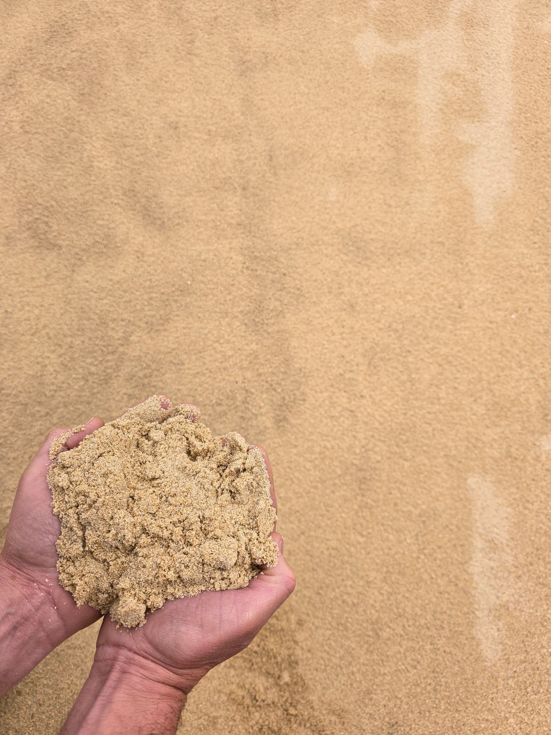 Person Holding a Handful of Beige Grain — BVN Landscape & Steel Supplies in Sussex Inlet, NSW