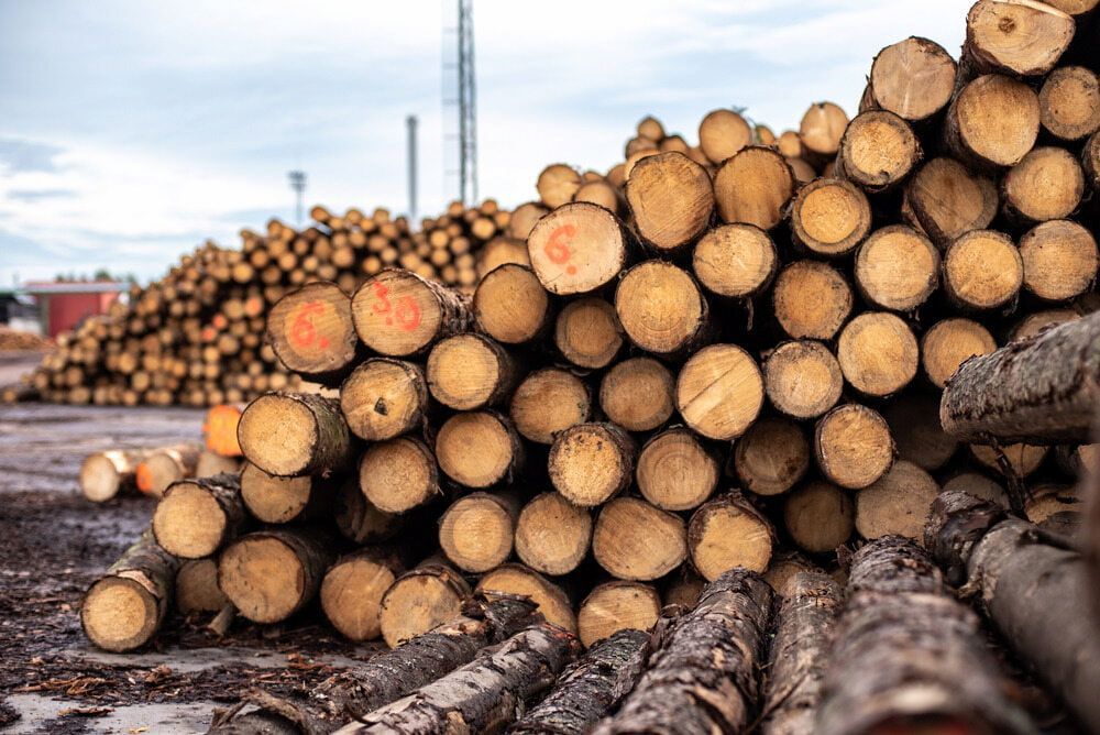 Stacked Cut Logs in a Lumber Yard, With Bark-covered Wood — BVN Landscape and Concrete Supplies in St Georges Basin, NSW