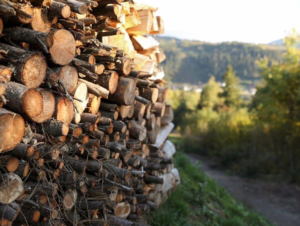 Stacked Firewood Logs Beside a Forest Path — BVN Landscape & Steel Supplies in St Georges Basin, NSW