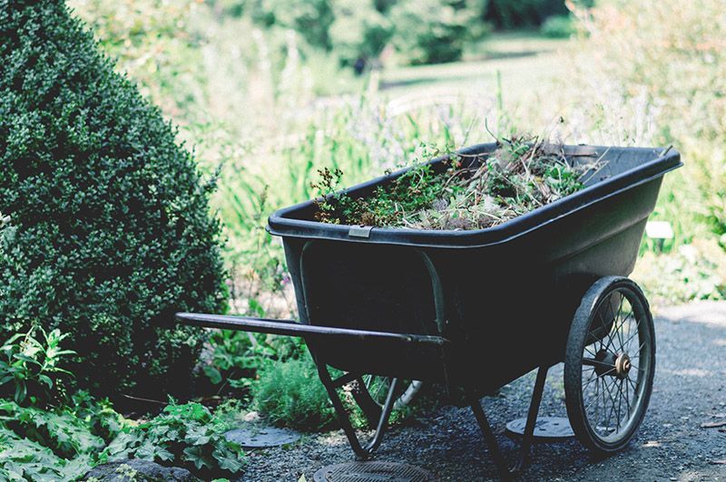A Black Wheelbarrow Filled with Grass Is Parked — BVN Landscape & Steel Supplies in St Georges Basin, NSW