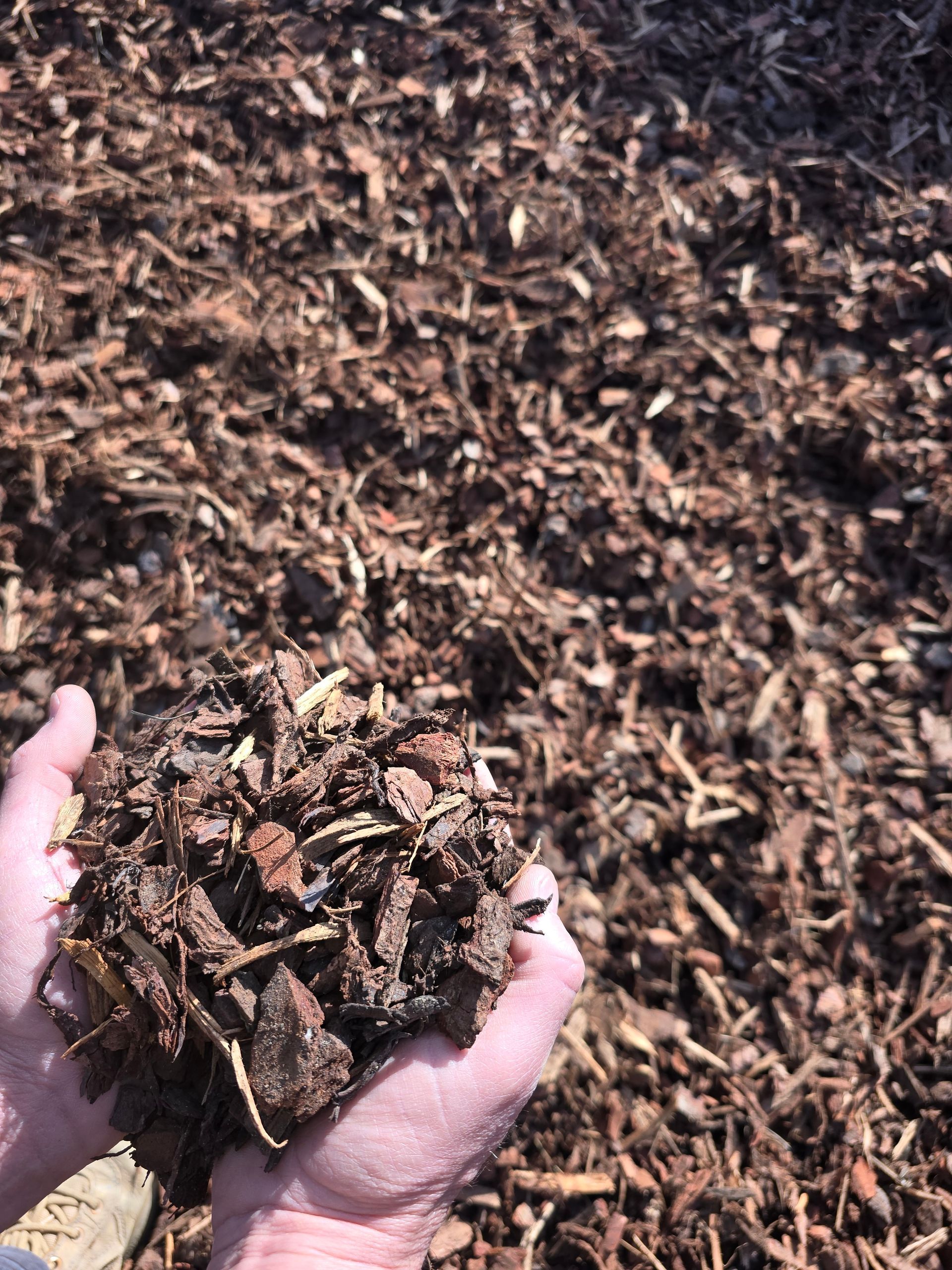 Hands Holding a Handful of Brown Mulch — BVN Landscape & Steel Supplies in St Georges Basin, NSW