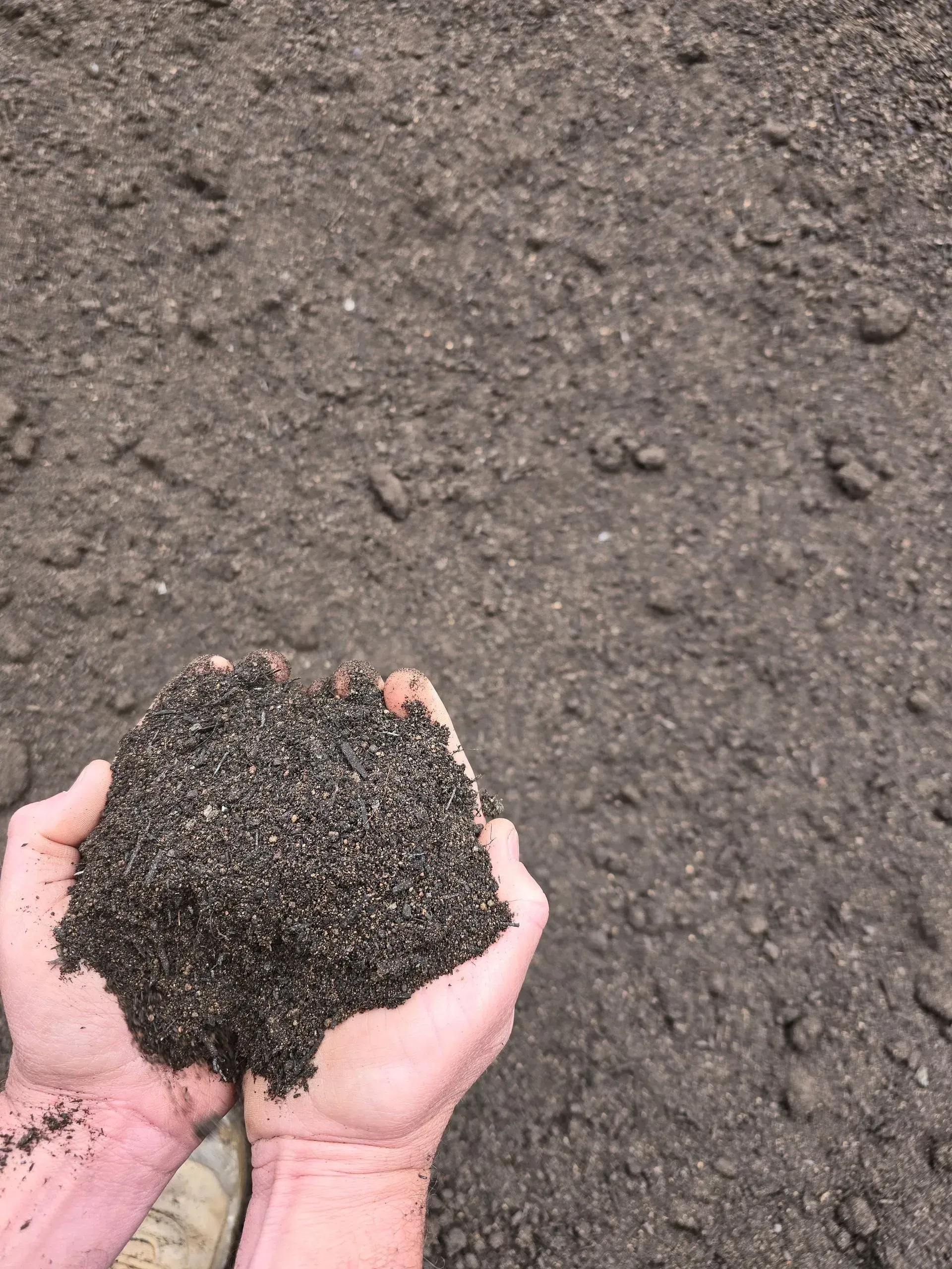 A Pile of Soil In Someones Hands — BVN Landscape & Steel Supplies in St Georges Basin, NSW