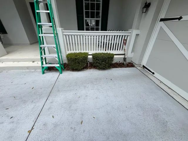 A green ladder leans against the porch