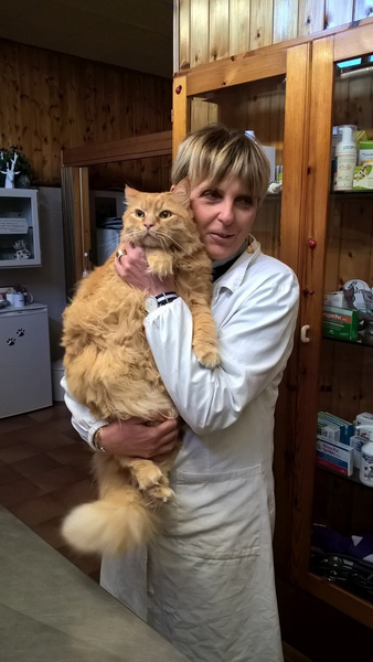 Una donna in camice da laboratorio tiene in braccio un grosso gatto arancione